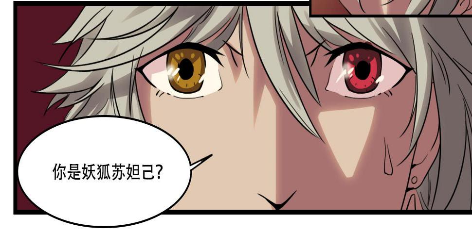 狐妖妲己37