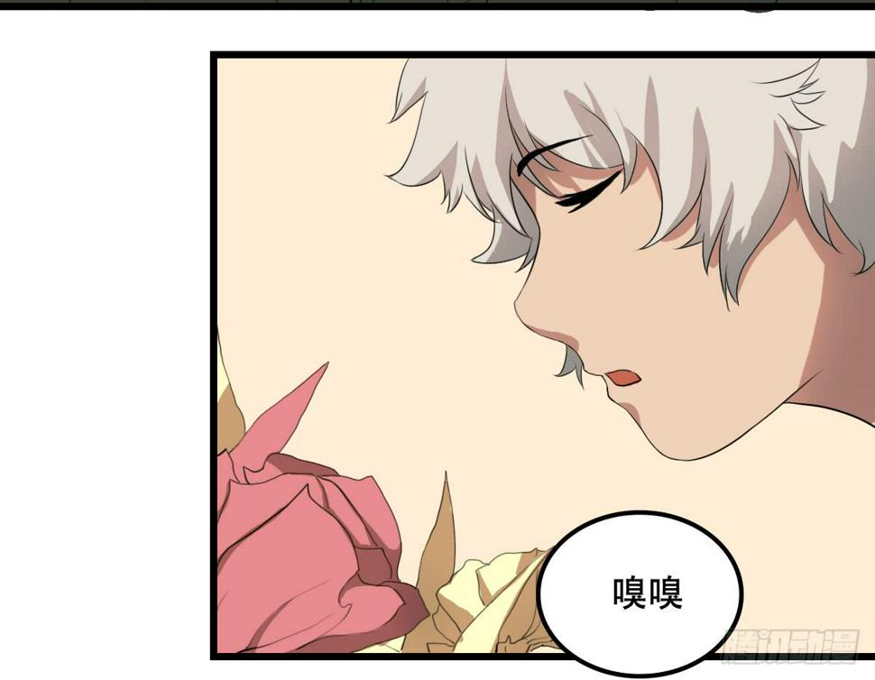 百花宴4
