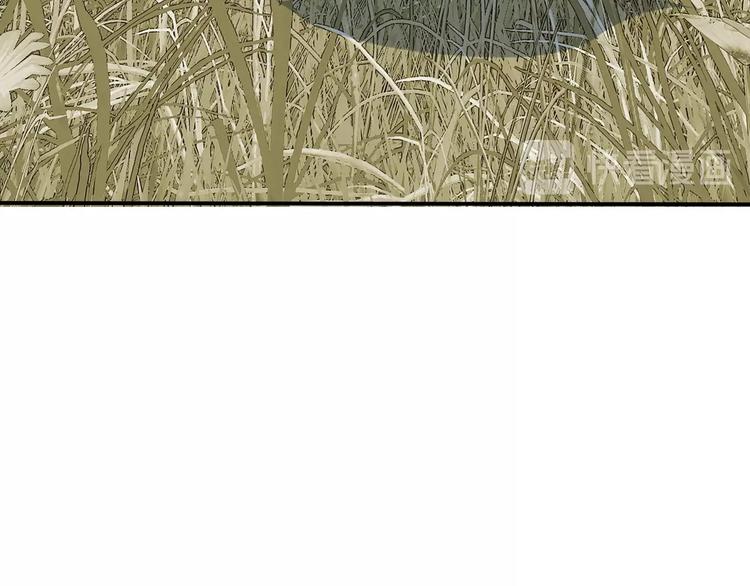 完结篇 恢复色彩77