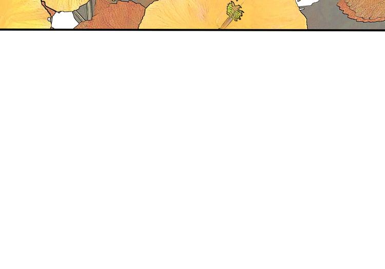 完结篇 恢复色彩23