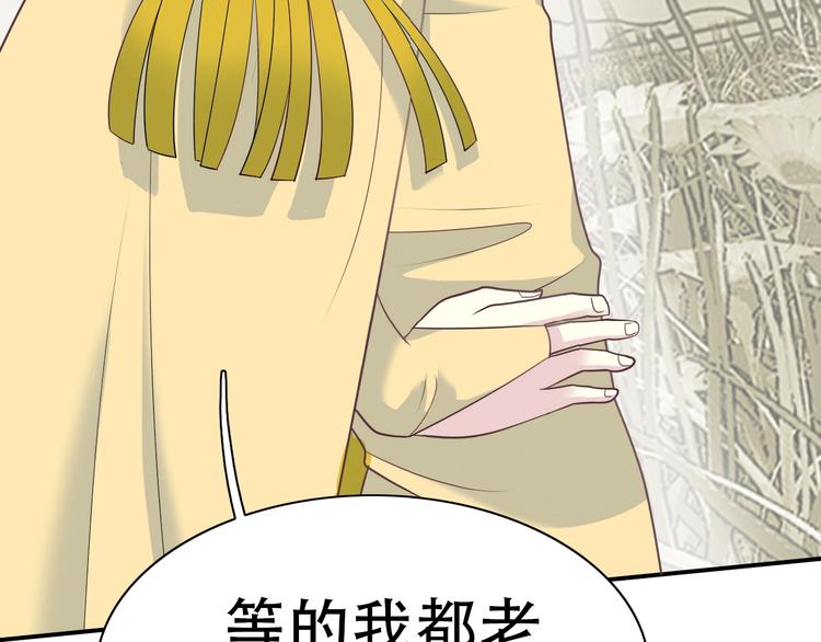 完结篇 恢复色彩88