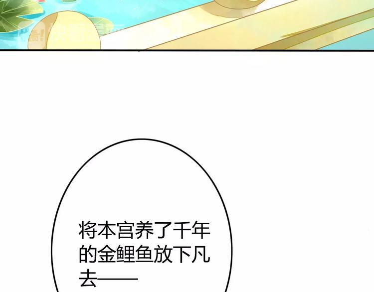 第1话 初次相遇5