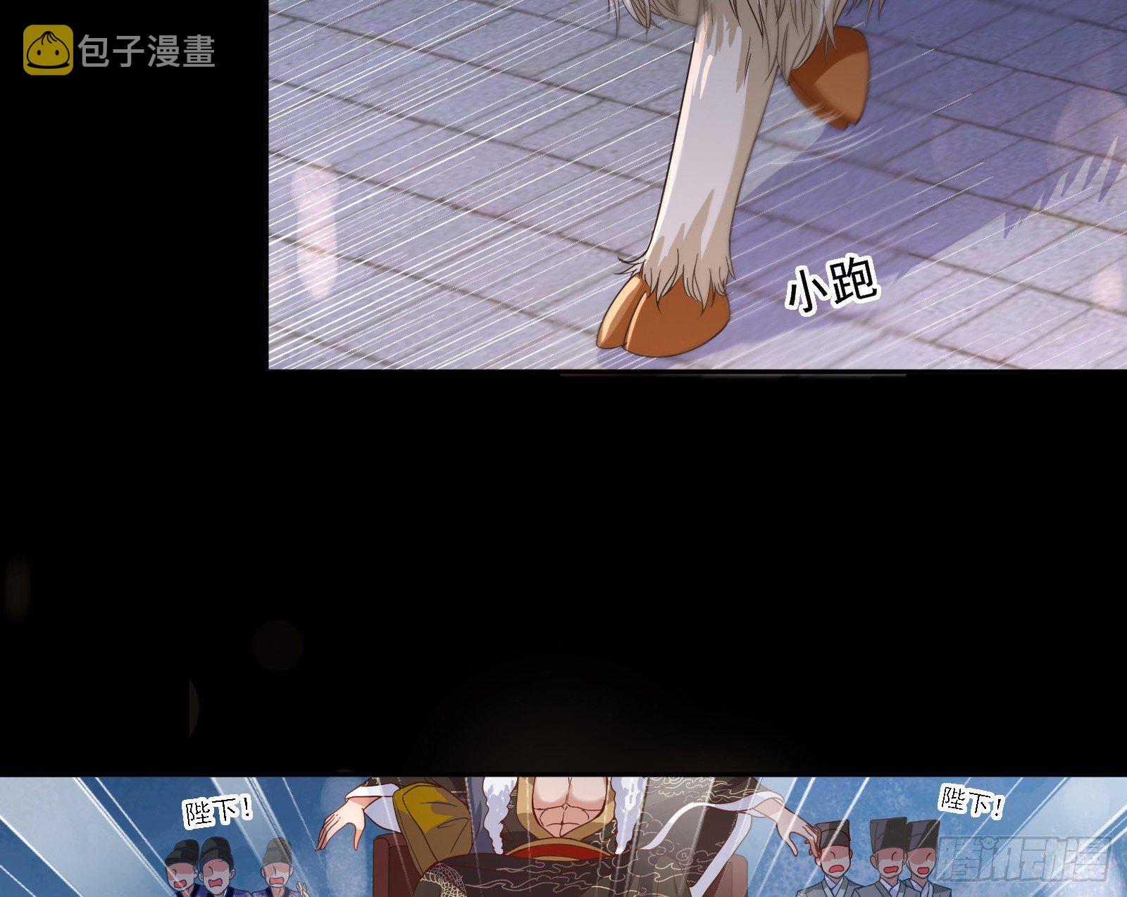 千层套路11
