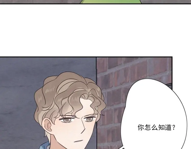 完结篇 答案揭秘73