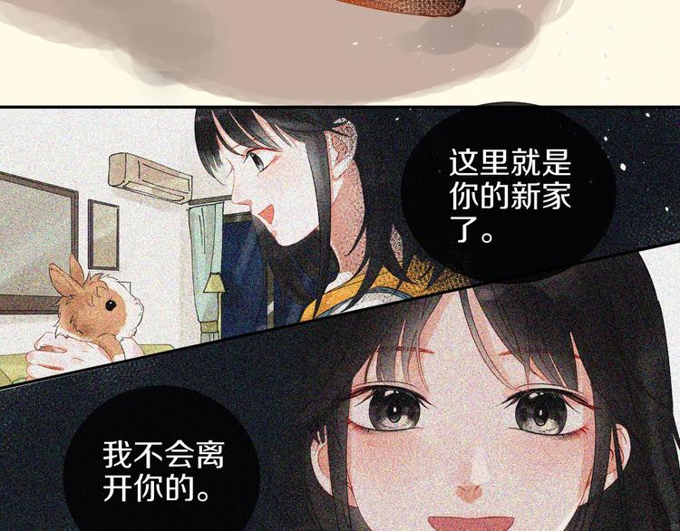番外 兔子的过往105