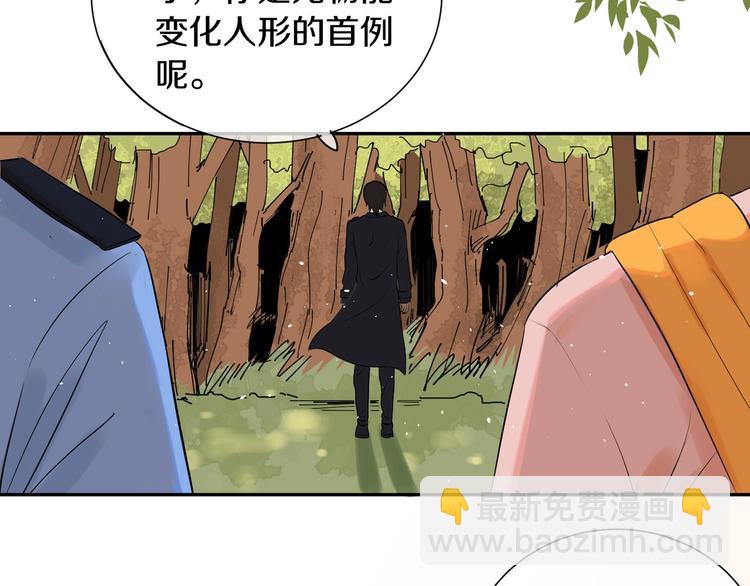 番外 兔子的过往201