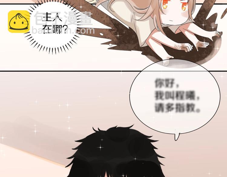 番外 兔子的过往153