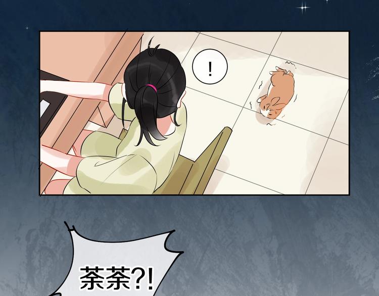 番外 兔子的过往59