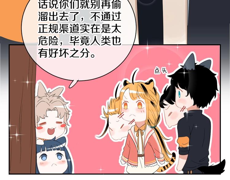 完结篇 狼与虎39