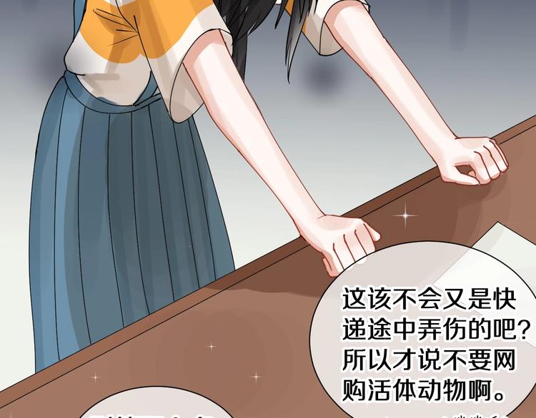 番外 兔子的过往26