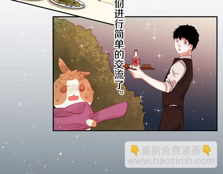 番外 兔子的过往166