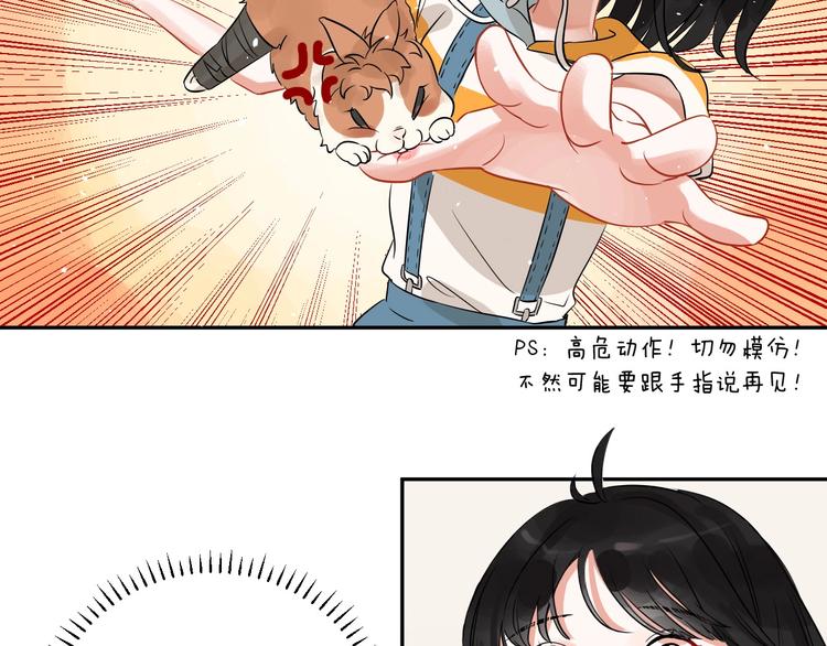 番外 兔子的过往34