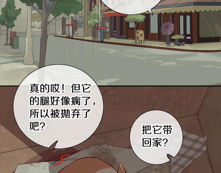 番外 兔子的过往15