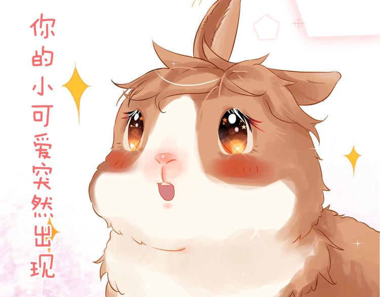 番外 兔子的过往51