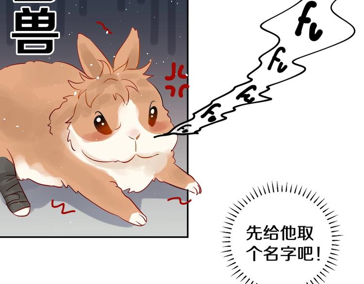 番外 兔子的过往36