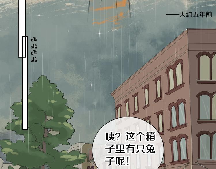 番外 兔子的过往14