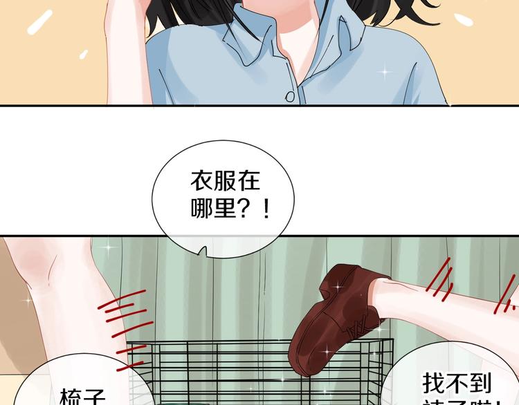 番外 兔子的过往89