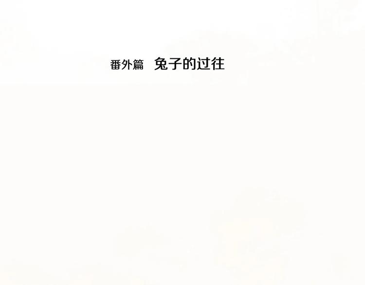 番外 兔子的过往3