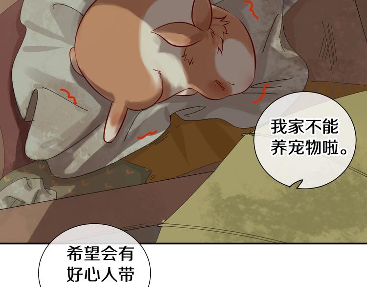 番外 兔子的过往16