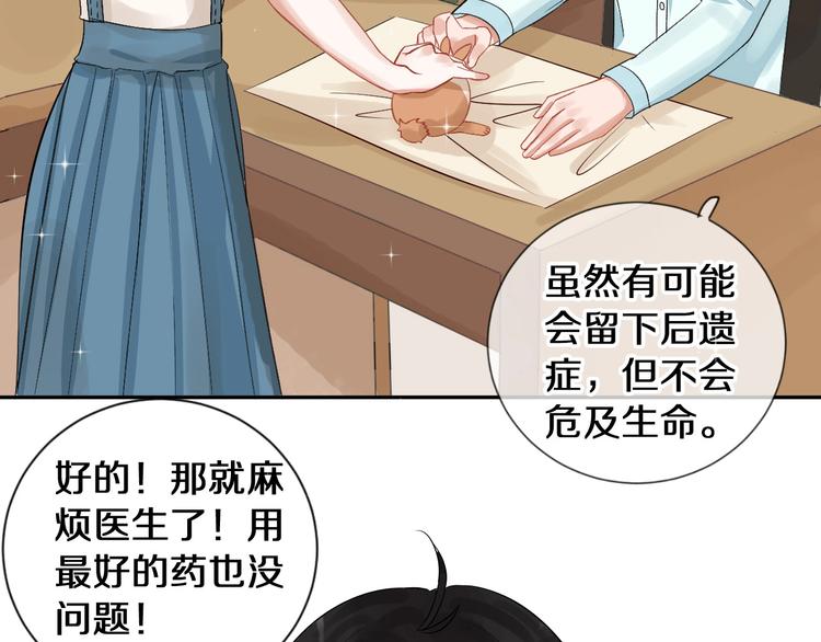 番外 兔子的过往22