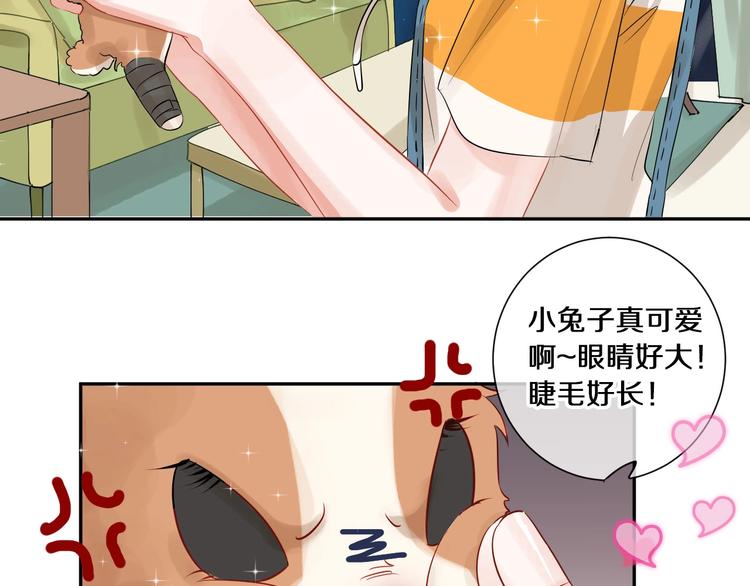 番外 兔子的过往32