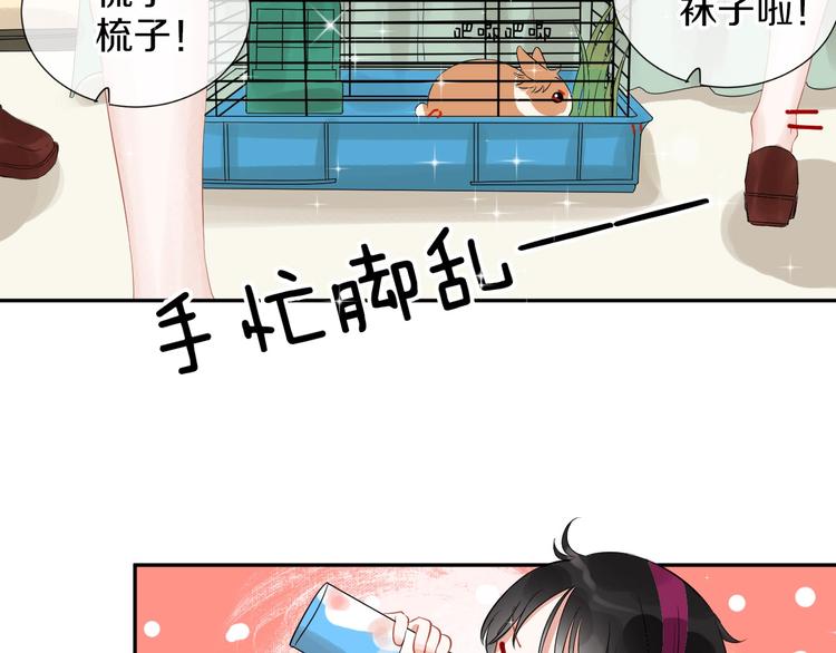 番外 兔子的过往90