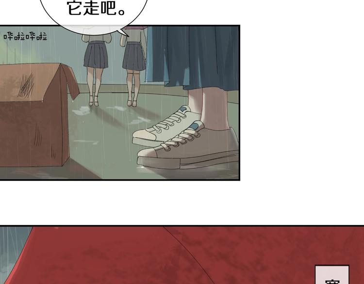 番外 兔子的过往17