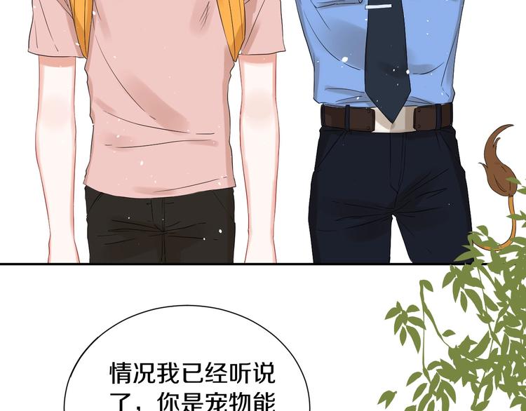 番外 兔子的过往200