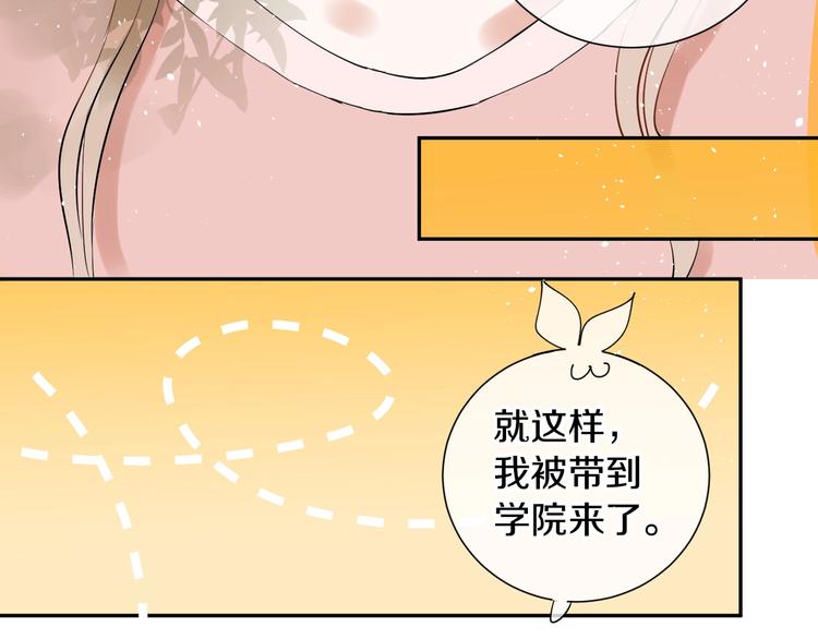 番外 兔子的过往208
