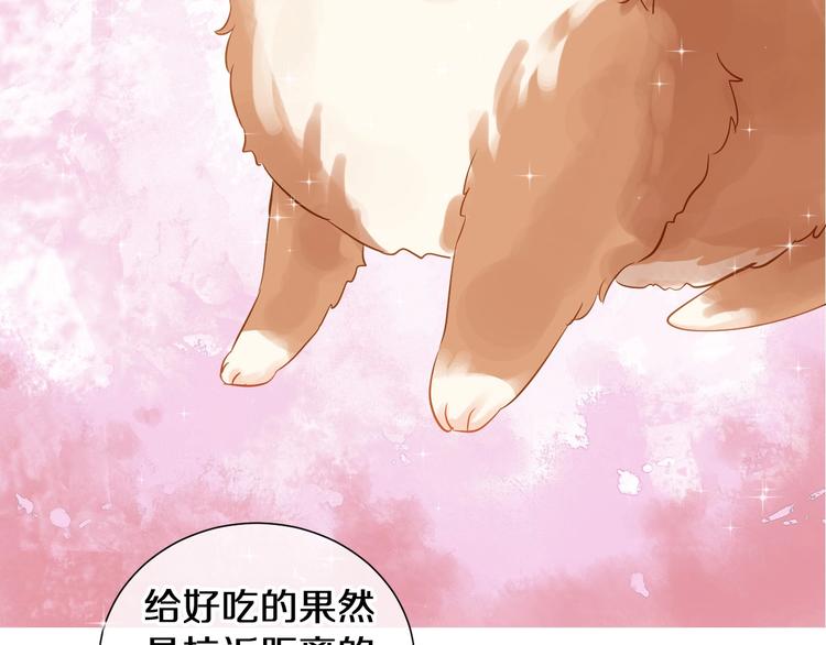 番外 兔子的过往52