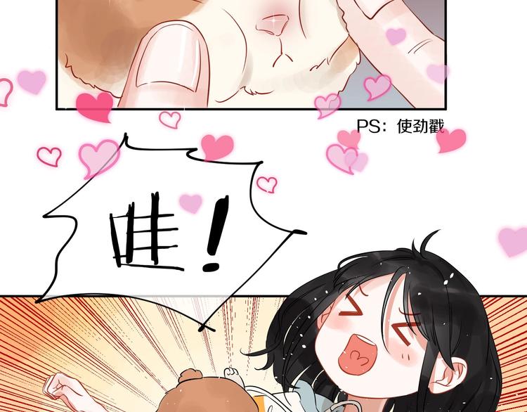 番外 兔子的过往33