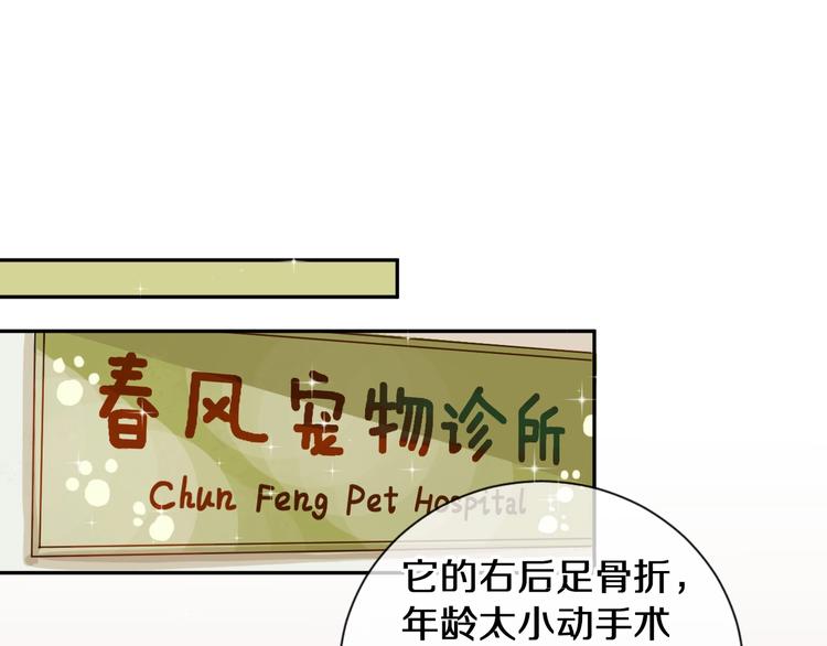 番外 兔子的过往20
