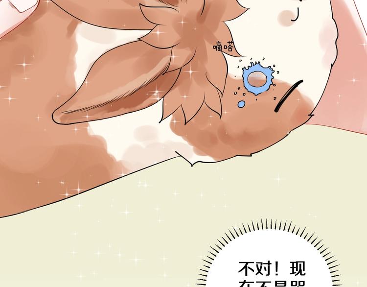 番外 兔子的过往68