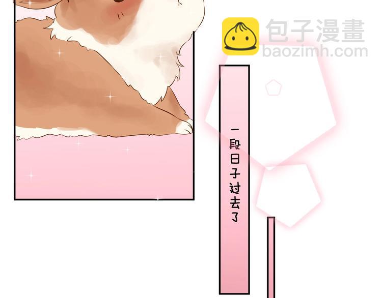 番外 兔子的过往42