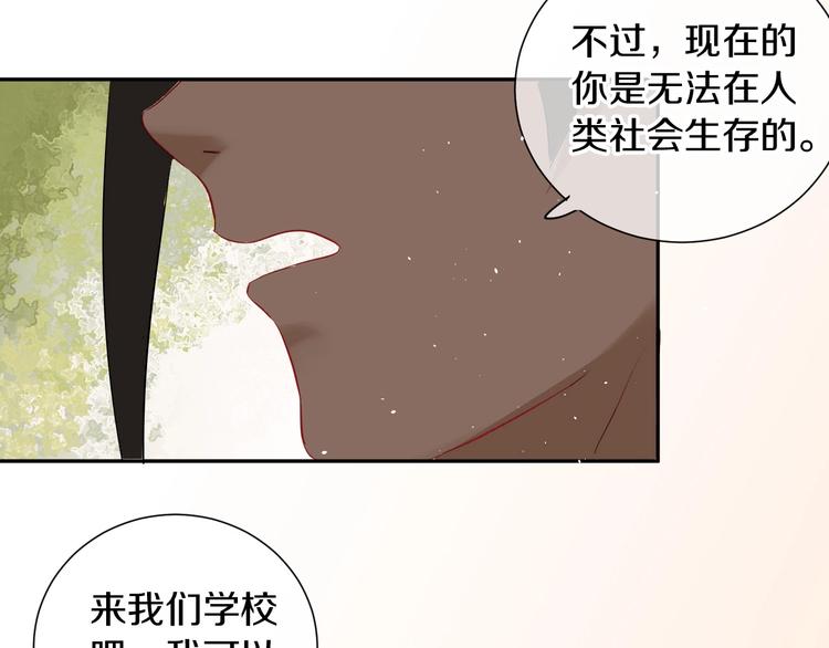 番外 兔子的过往202