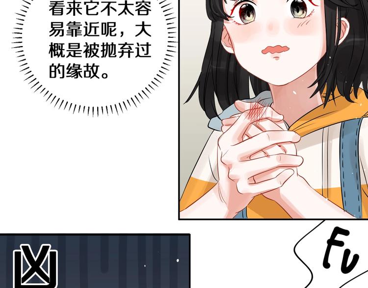 番外 兔子的过往35