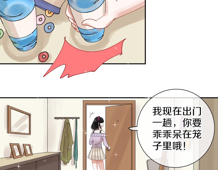 番外 兔子的过往92