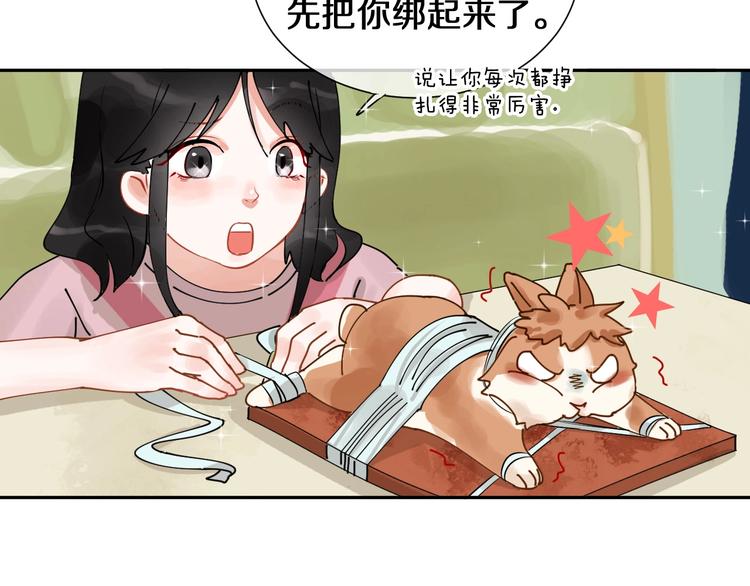 番外 兔子的过往44