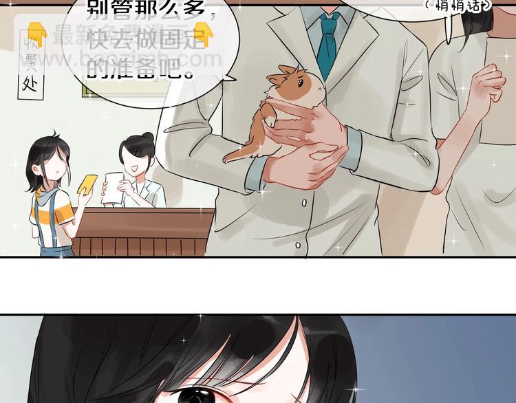 番外 兔子的过往27