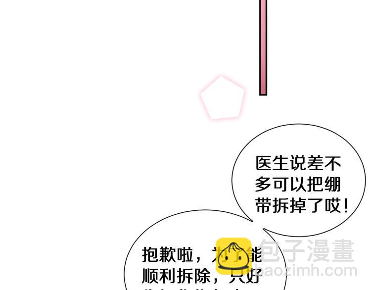 番外 兔子的过往43