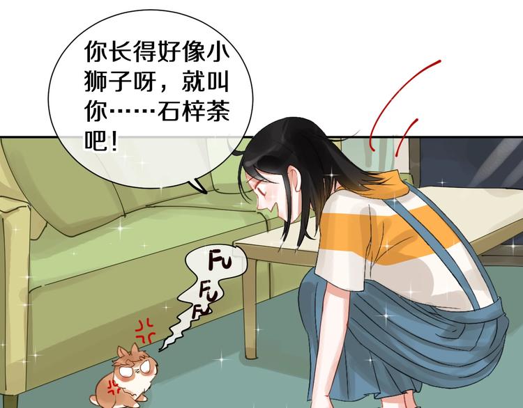番外 兔子的过往38