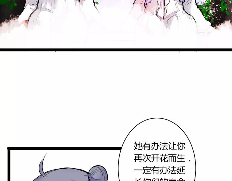 第22话 延长花期？38