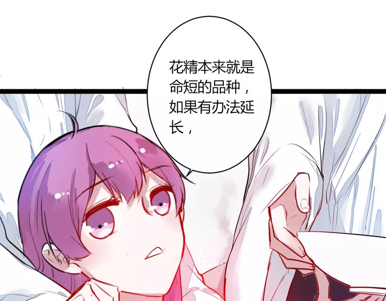 第22话 延长花期？54