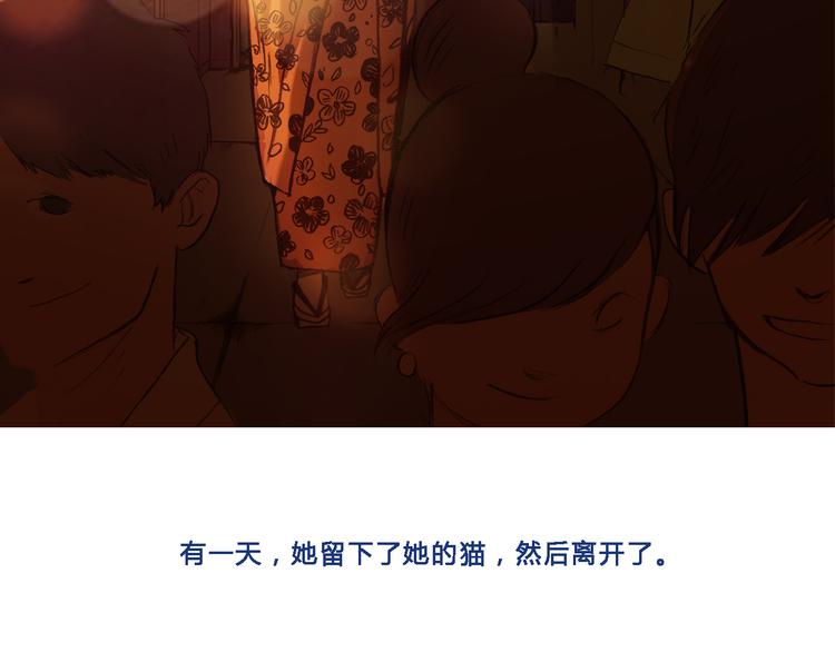 回顾 猫咪与我的回忆12