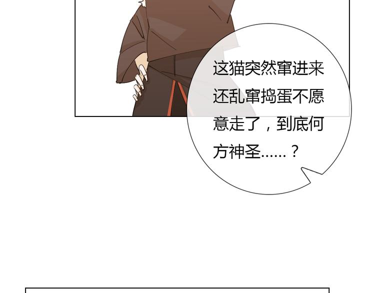 第6话 找到喵咪啦11