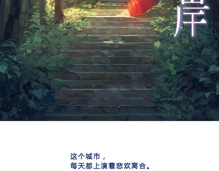 回顾 猫咪与我的回忆1