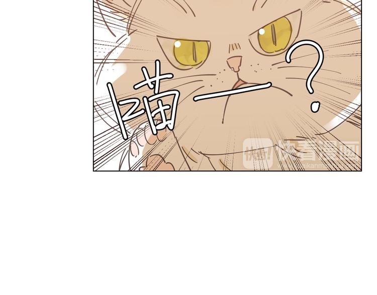 第6话 找到喵咪啦18