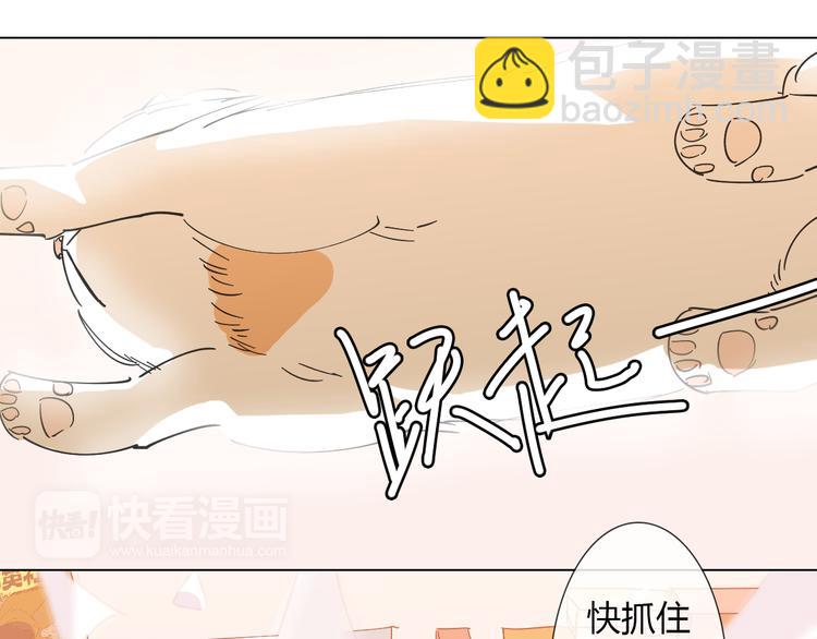 第6话 找到喵咪啦3