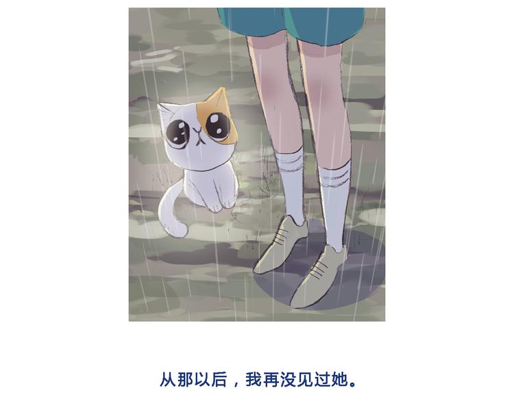回顾 猫咪与我的回忆13