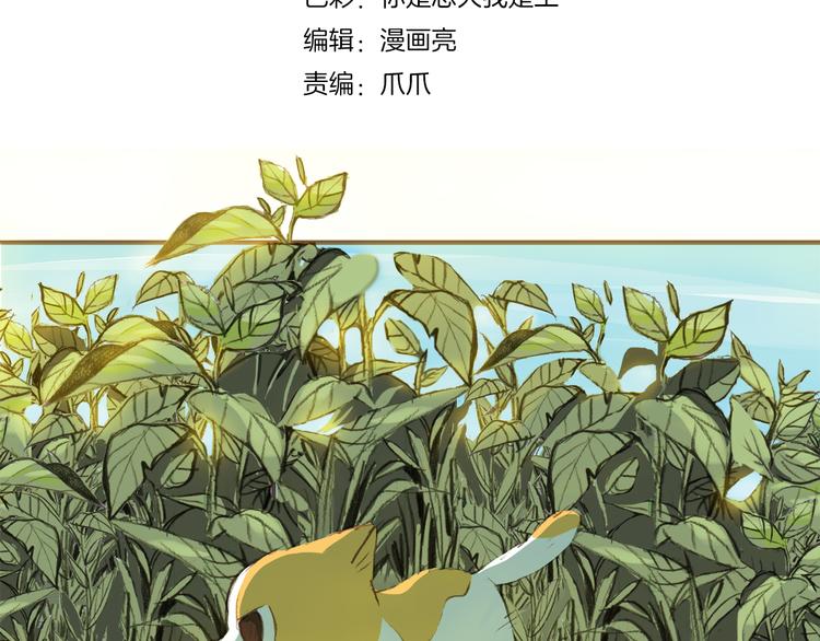 第6话 你的时间所剩不多了3